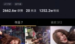 抖音网红爆料网站大全 明星黑料后为什么还能回娱乐圈,揭秘明星重返娱乐圈的神秘力量