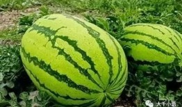 热门大瓜往期内容,那些你不知道的内幕与真相